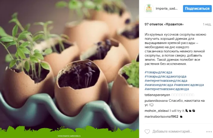 Активная аудитория в соц.сетях