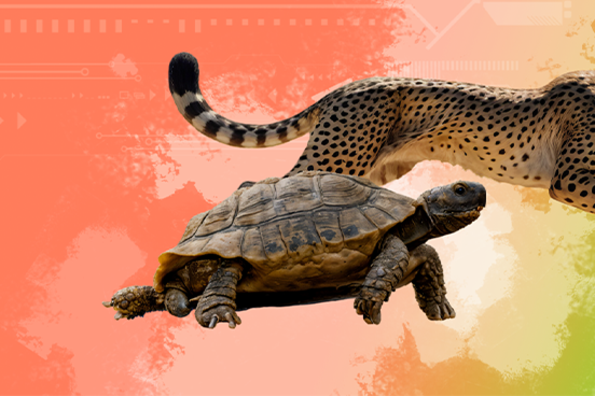 Почему Битрикс24 тормозит и как ускорить его работу